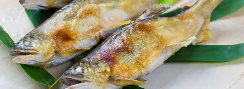 その他うまいもん
