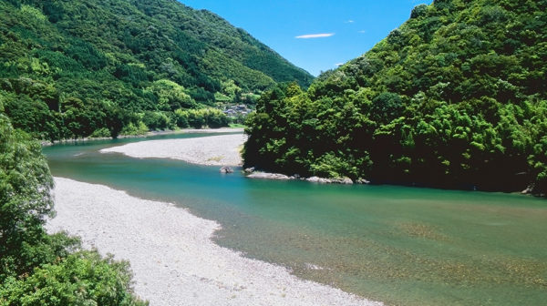 コクと旨味が特徴の独自の鴨肉